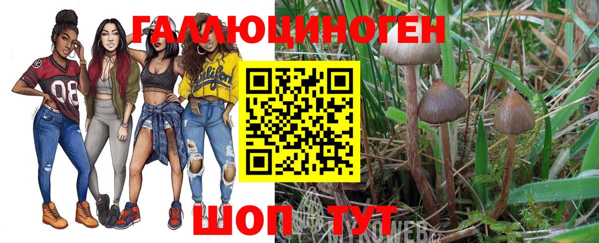 Псилоцибиновые грибы мухоморы Изобильный