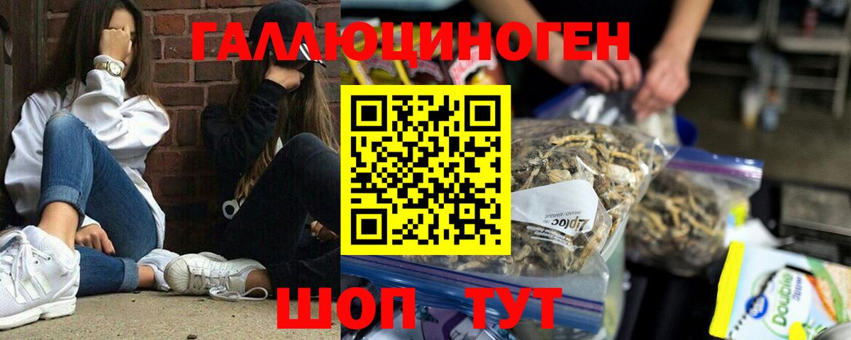 Изобильный  Псилоцибиновые грибы MAGIC MUSHROOMS  Вход с VPN 